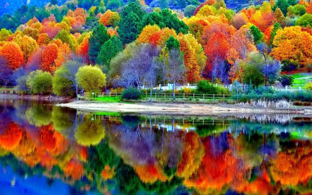 Vibrant autumn forest with red orange yellow leaves reflected on calm lake serene fall landscape Wallpaper