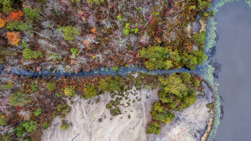 Aerial view of vibrant autumn forest river with sandy shore and calm water wallpaper background