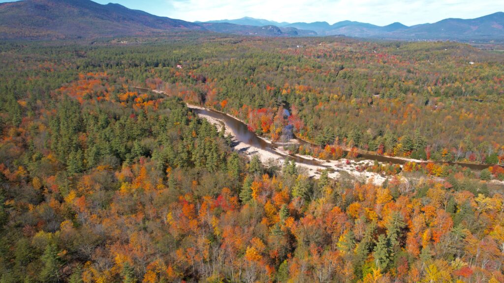 Autumn forest with red orange gold trees by winding river and distant mountains bright sky wallpaper