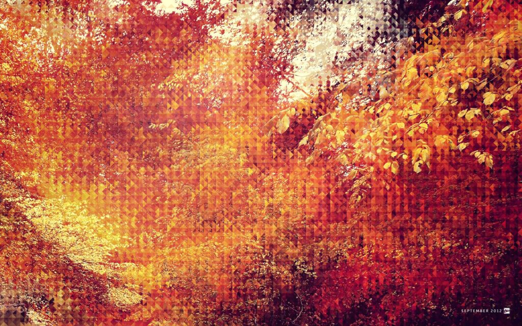 Artistic Autumn Landscape Wallpaper - Vibrant 2560x1600 Background
