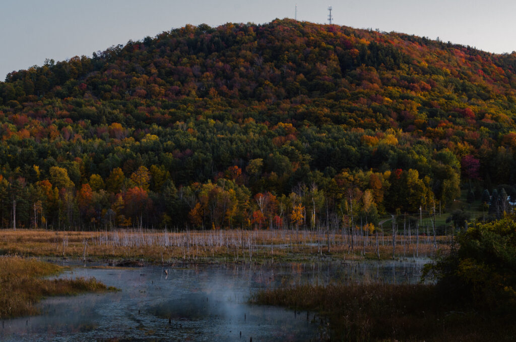 Autumn landscape with colorful trees on rolling hill overlooking serene lake misty foreground Wallpaper