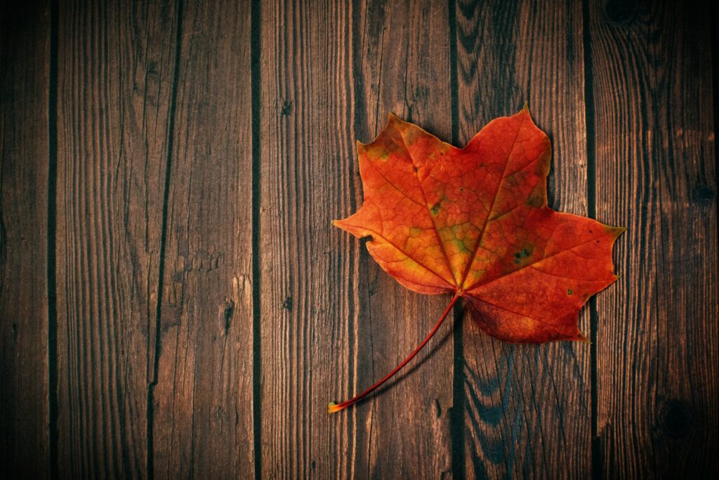 Vibrant Autumn Maple Leaf on Rustic Wood - Seasonal Wallpaper