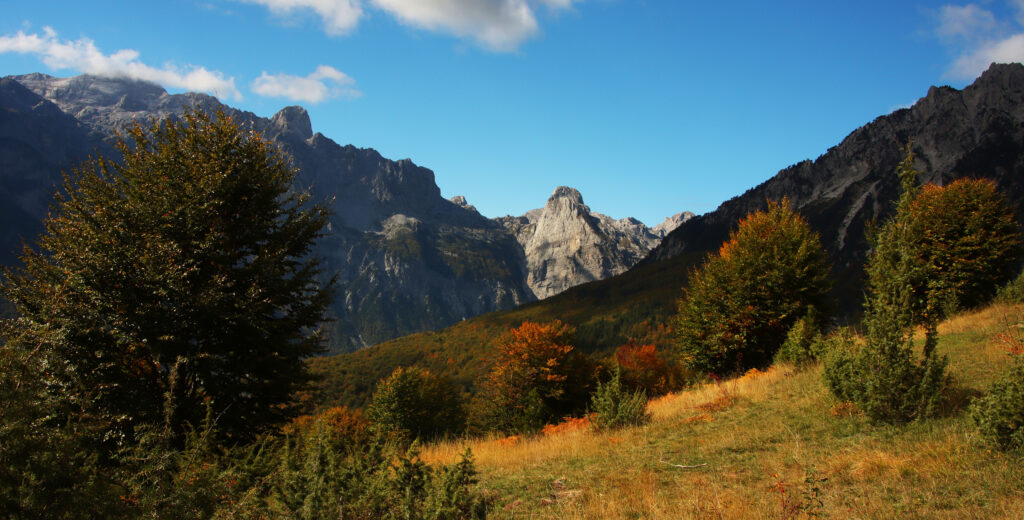 Vibrant autumn mountain landscape with rugged peaks dense colorful trees and sunlit grass wallpaper