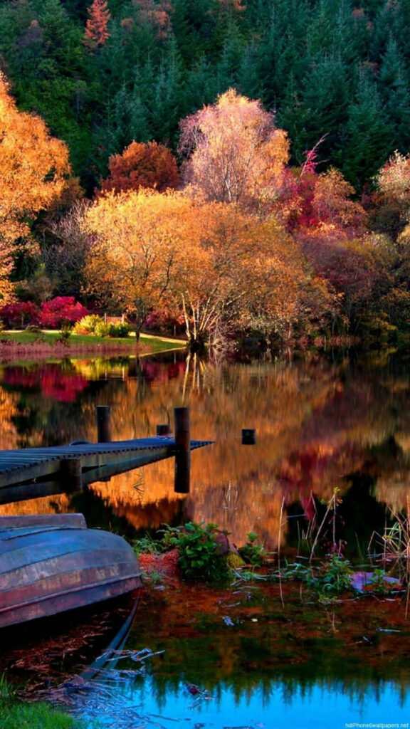 Autumn Riverside Serenity: Vibrant Foliage & Calm Water Wallpaper