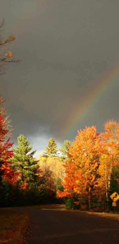 Autumn road with vibrant orange red green trees and rainbow under dark stormy sky with sign Wallpaper