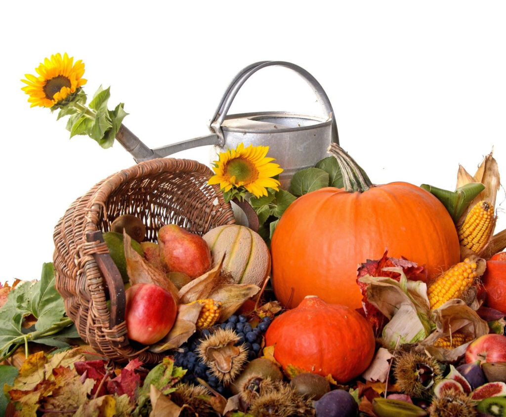 Fall Harvest Delight: Pumpkins, Apples & Rustic Decor Wallpaper