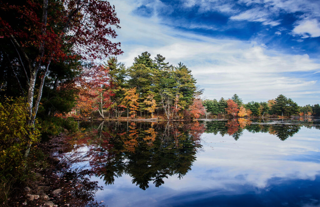 Vibrant autumn trees reflected on calm lake under blue sky serene natural landscape wallpaper