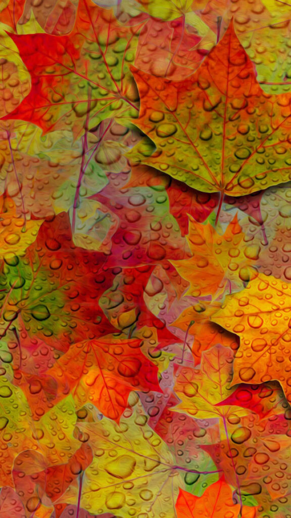 Vibrant Maple Leaves Wallpaper: Autumn Colors & Dew Drops Background