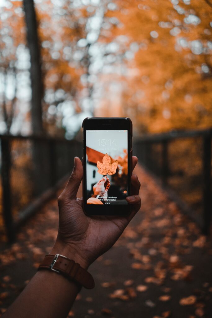 Vibrant Autumn Wallpaper: Hand Holding Phone with Maple Leaf