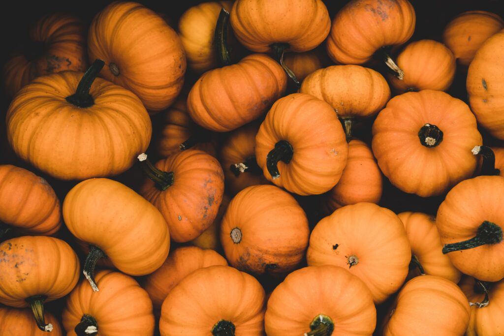 Autumn Harvest Wallpaper: Vibrant Ripe Orange Pumpkins Background