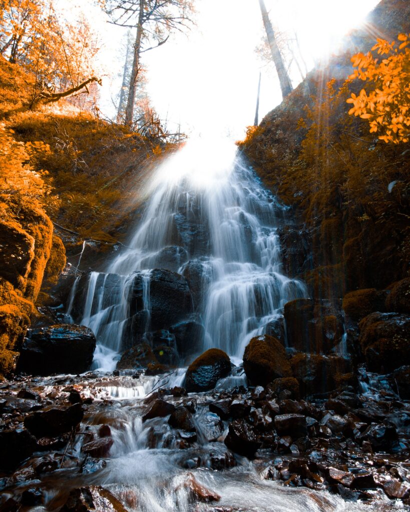 Vibrant waterfall flowing over mossy stones with autumn foliage and wildlife in sunlight Wallpaper