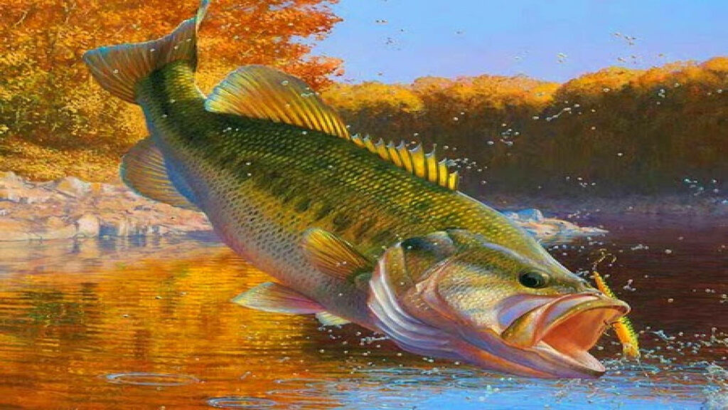 Vibrant Bass Fish Wallpaper: Autumn Lake Adventure Art