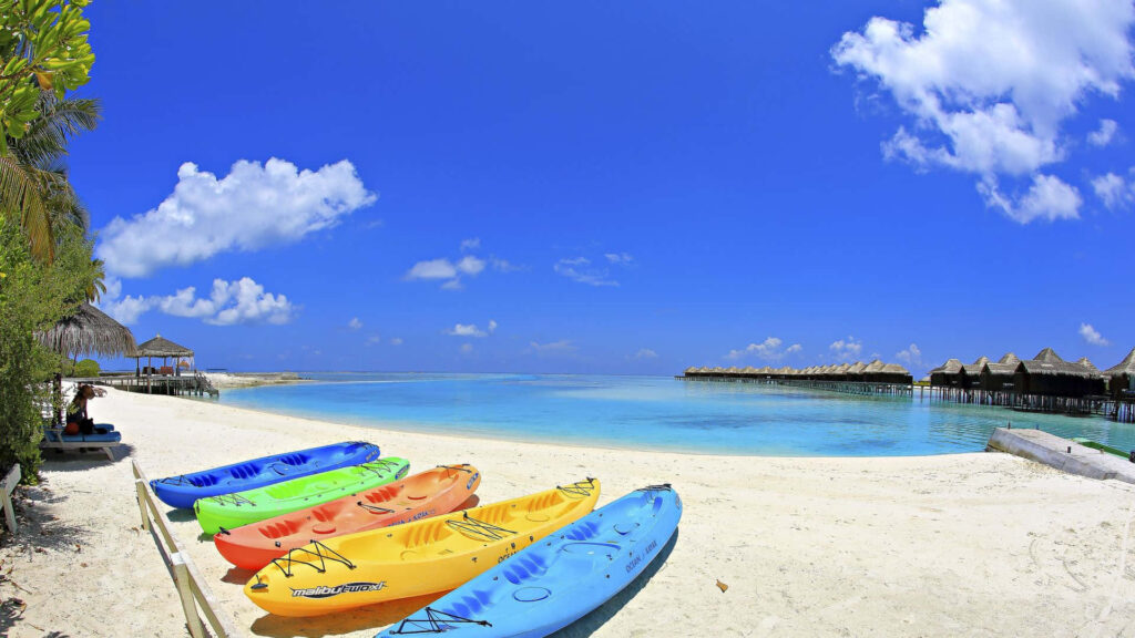 Vibrant Kayaks on Pristine Beach: Tropical Paradise Scene Wallpaper
