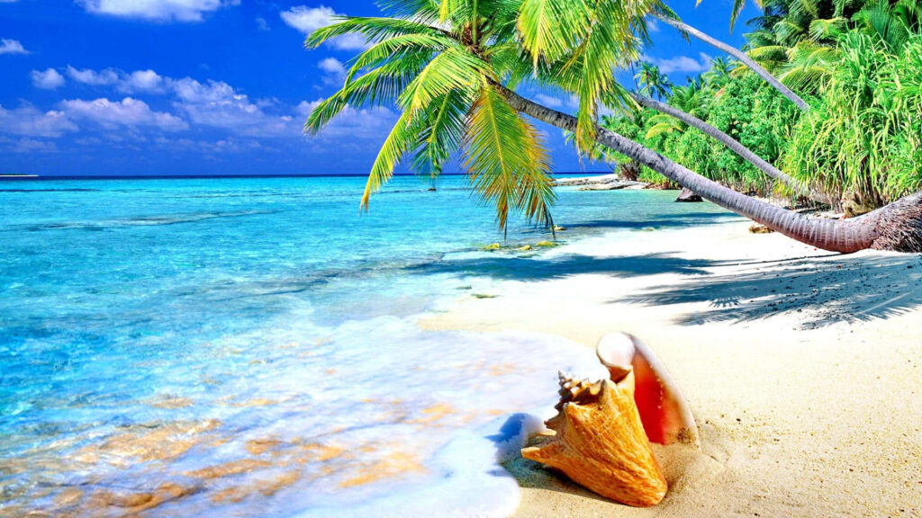 Tropical Beach Paradise Wallpaper: Serene Scene with Palm Trees