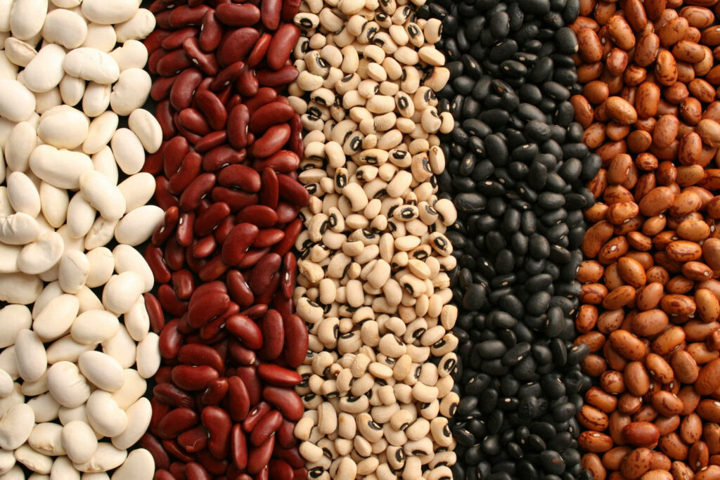 Colorful Bean Wallpaper: Captivating Assortment of Textured Beans