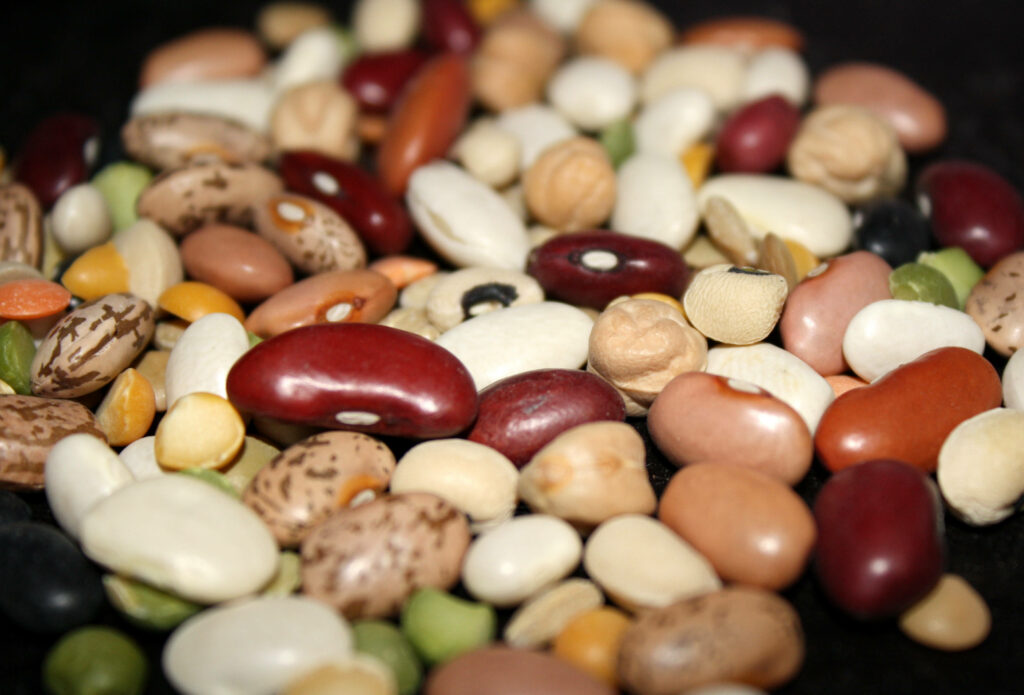 Vibrant Bean Collection Wallpaper: Diverse Colors & Textures