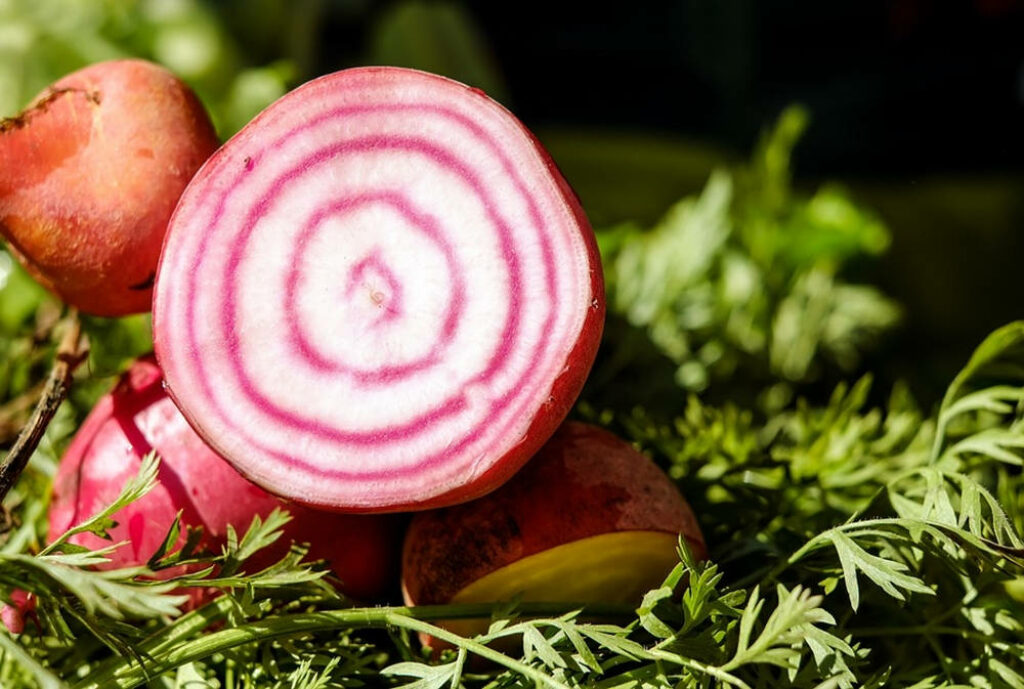 Vibrant Beetroot Wallpaper: Pink & White Rings on Green Leaves