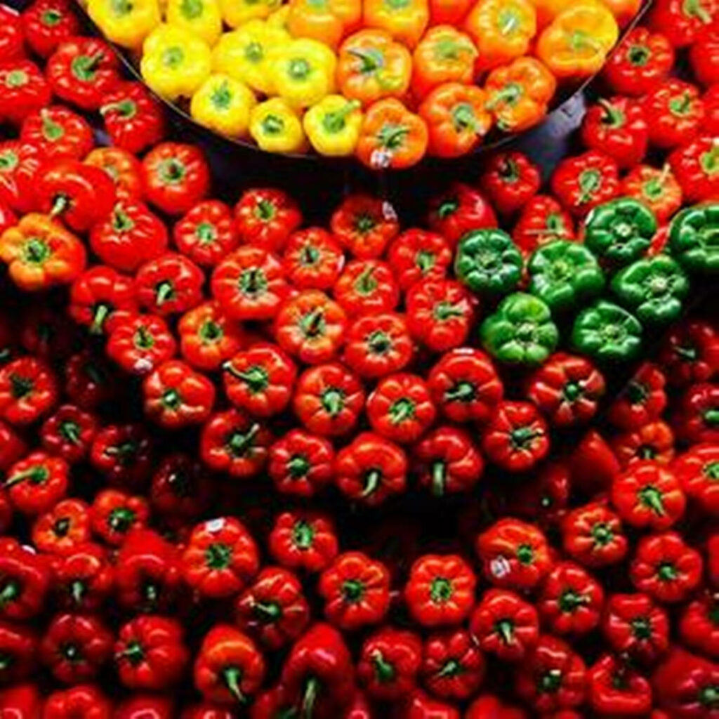 Vibrant U-Shaped Bell Pepper Wallpaper in Bold Colors