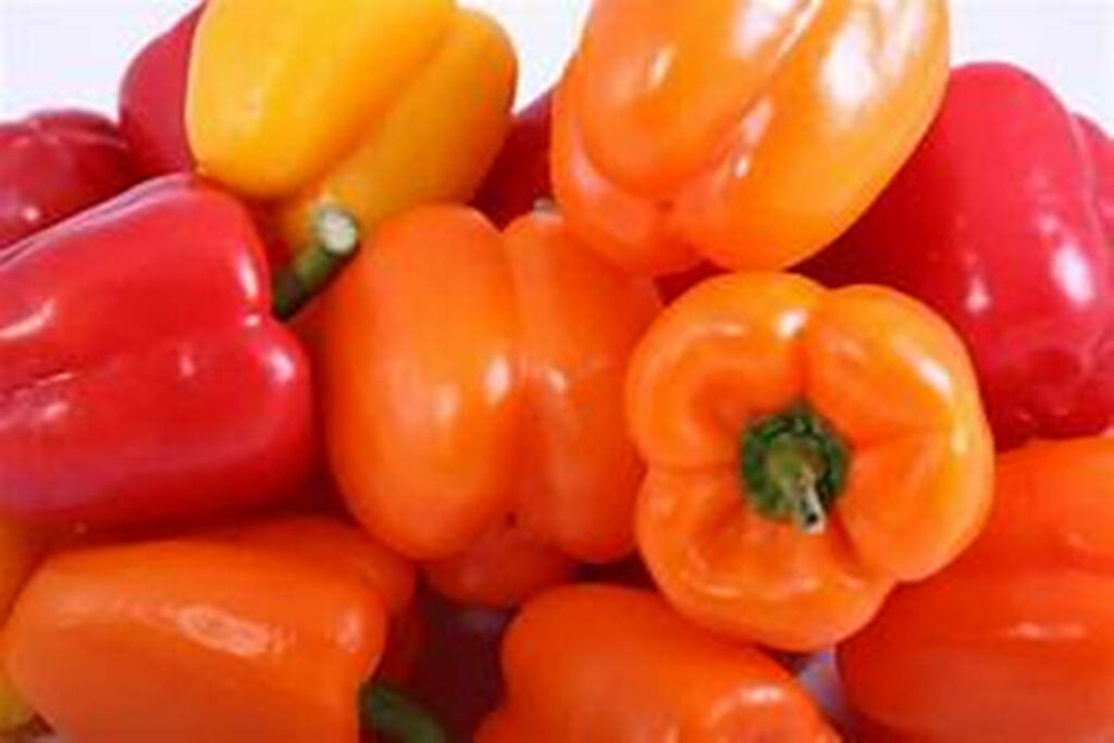 Colorful Bell Peppers Wallpaper on Clean White Background
