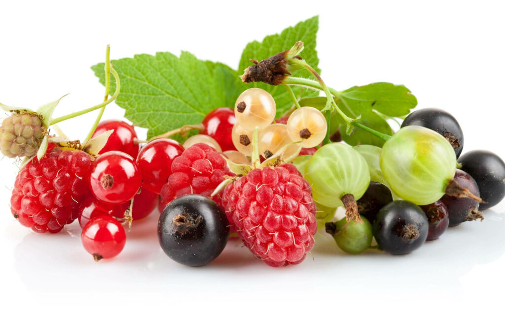 Vibrant Berry Wallpaper: Fresh Raspberries, Currants & Green Leaves