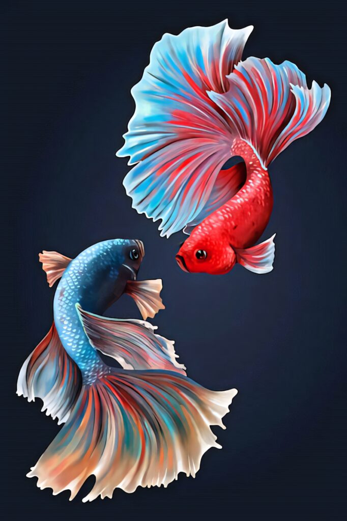 Vibrant Betta Fish iPhone Wallpaper on Midnight Blue Background