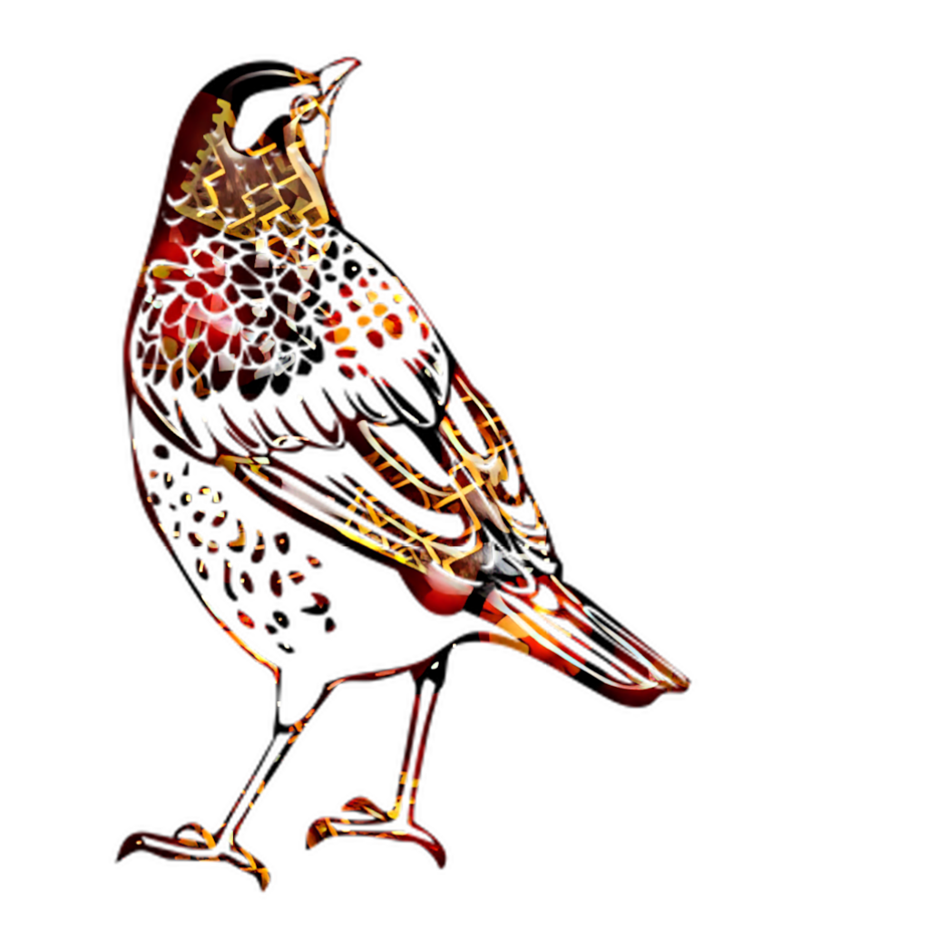 Artistic Bird Wallpaper: Vibrant Geometric Design on Dark Background