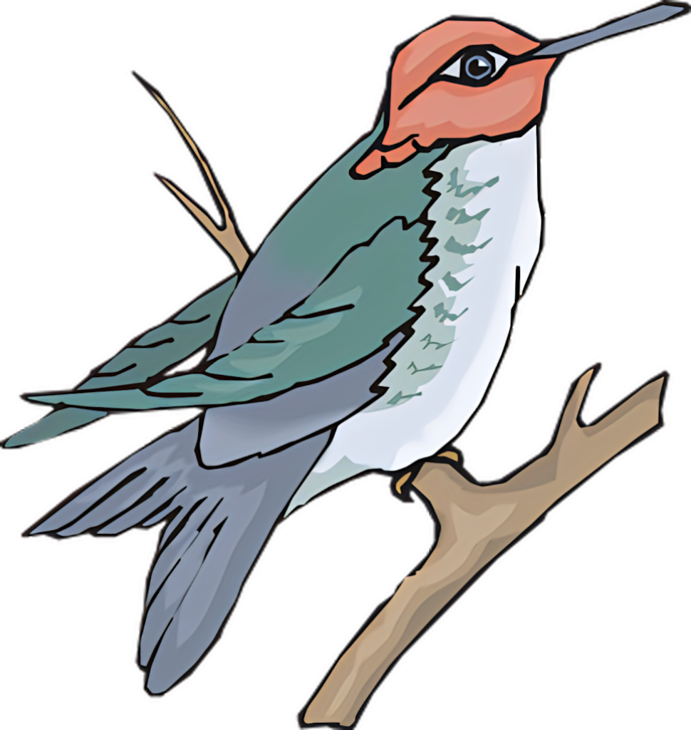 Vibrant Colorful Bird Wallpaper: Eye-Catching Art for Bird Lovers