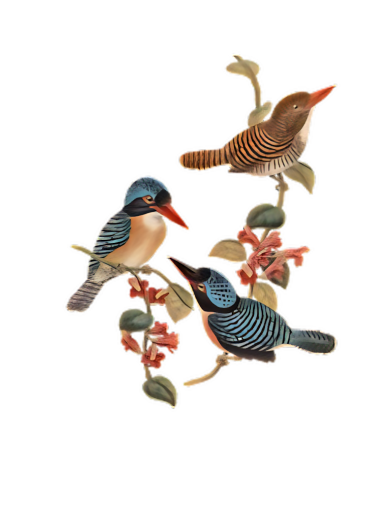 Colorful Bird Wallpaper: Vibrant Art on Elegant Branches & Foliage