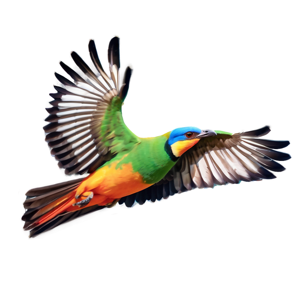 Vibrant Bird in Flight Against Blurred Background - Stunning Plumage Wallpaper