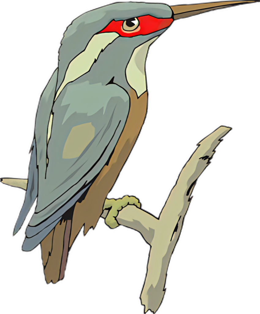 Colorful Bird on Branch - Artistic Nature Wallpaper Design