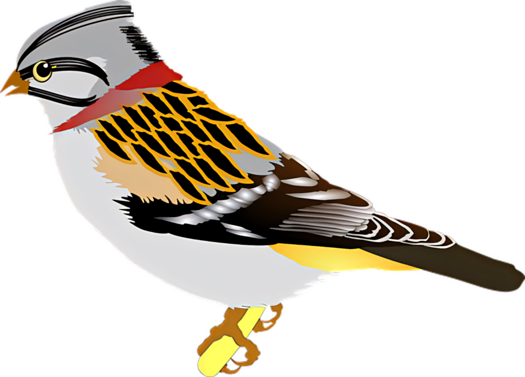 Vibrant Bird Wallpaper: Bold Colors & Intricate Patterns for Nature Lovers