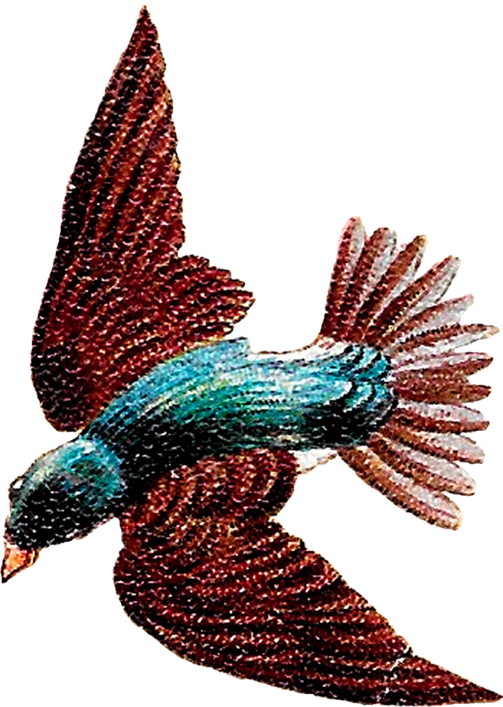 Vibrant Bird in Mid-Flight Wallpaper - Intricate Colorful Design