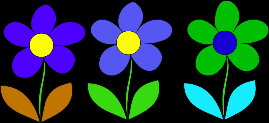 Colorful Vector Daisies on Black: Vibrant Floral Wallpaper Design