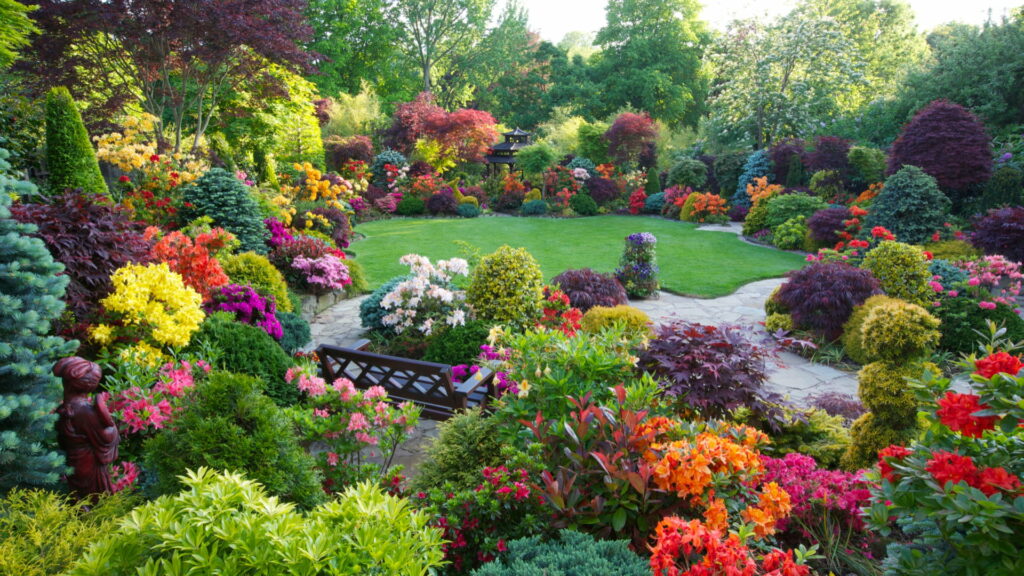 Vibrant Blooms in a Serene Garden: HD Wallpaper