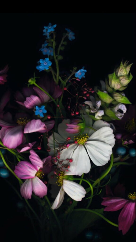 Vivid Blooms: Captivating Nature's Color Palette for HD Phone Wallpaper
