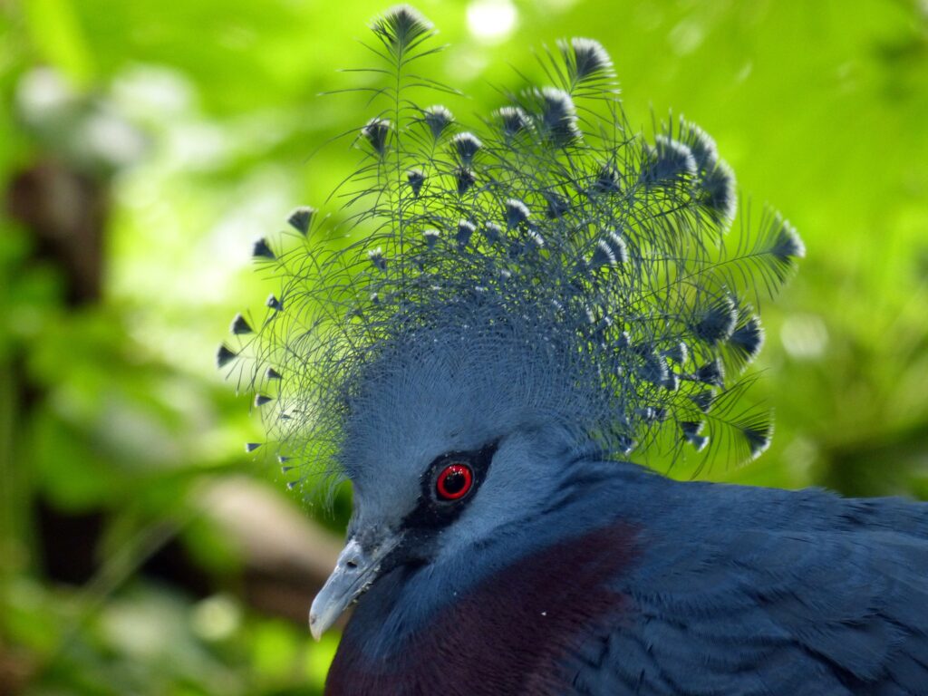 Vibrant Blue Bird Wallpaper: Stunning Close-Up with Green Background