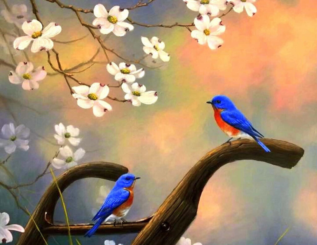 Vibrant Blue Birds on Blossoming Branches - Serene Spring Wallpaper