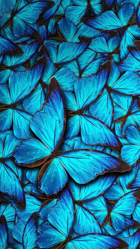 Vibrant Blue Butterflies Close-Up Wallpaper for iPhone Backgrounds