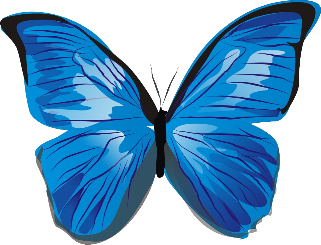 Vibrant Blue Butterfly Illustration: Intricate Wing Patterns Wallpaper