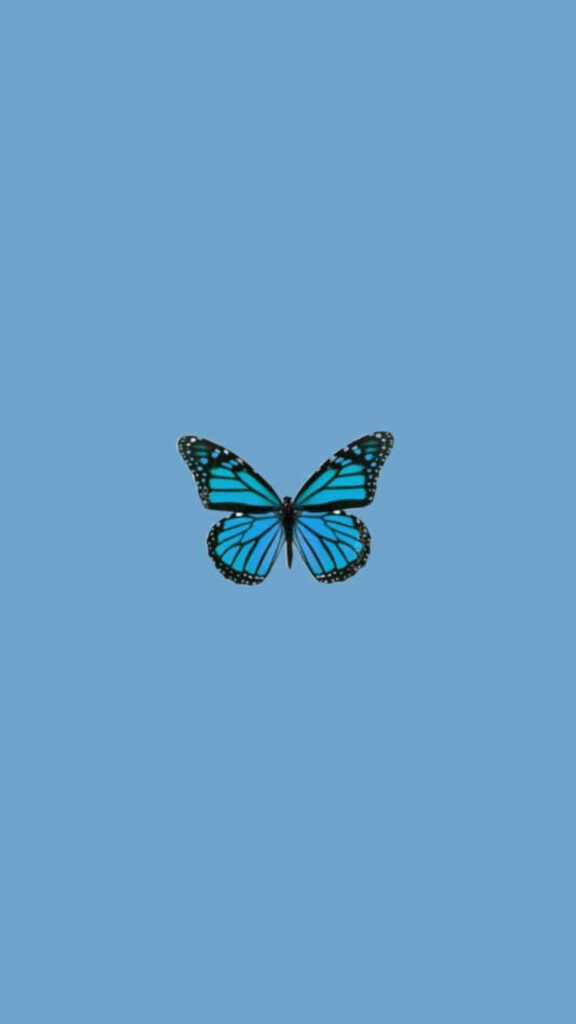 Vibrant Blue Butterfly on Light Blue Minimalist Wallpaper Background