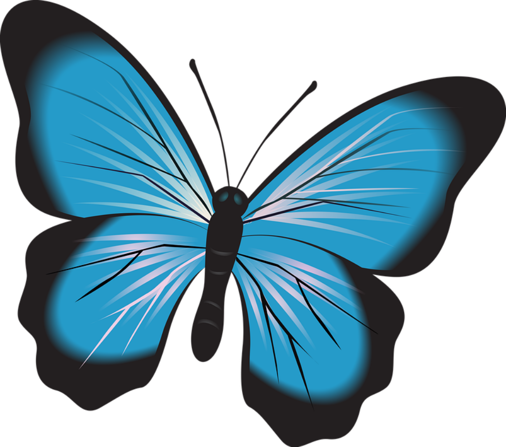Vibrant Blue Butterfly Wallpaper: Detailed Vector Background Design