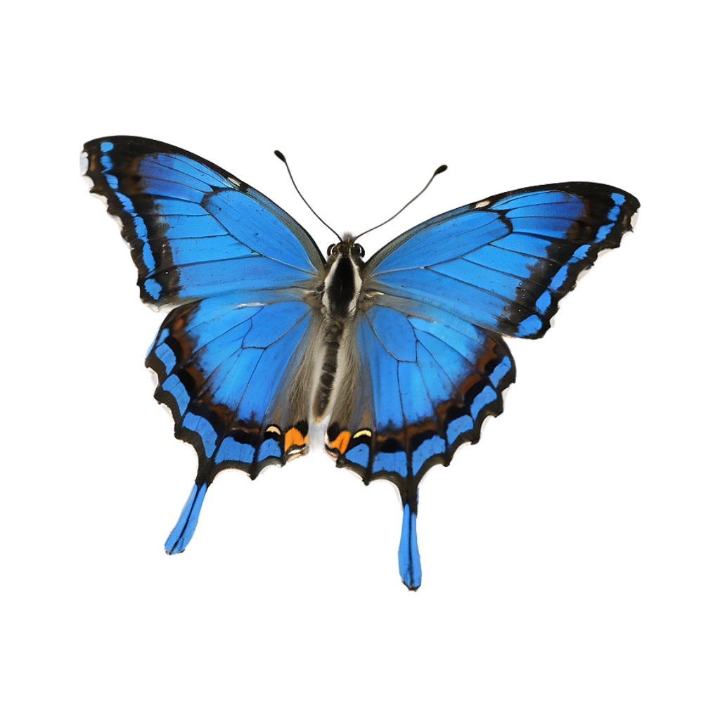 Vibrant Blue Butterfly Wallpaper: Serene Nature-Inspired Background