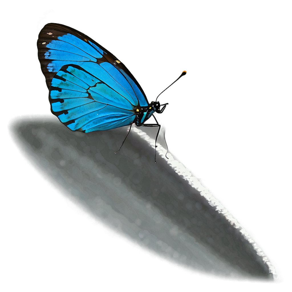 Vibrant Blue Butterfly Shadow Wallpaper - Striking Contrast Design