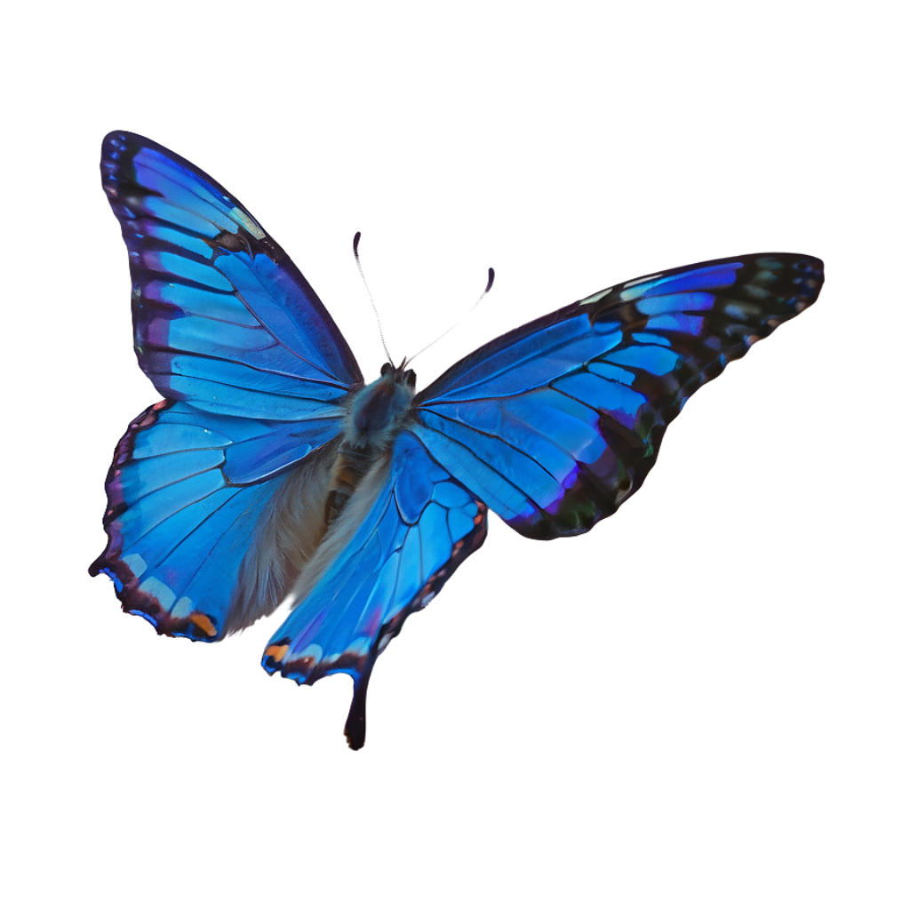 Vibrant Blue Butterfly Wallpaper: Graceful Wings on Blue Backdrop
