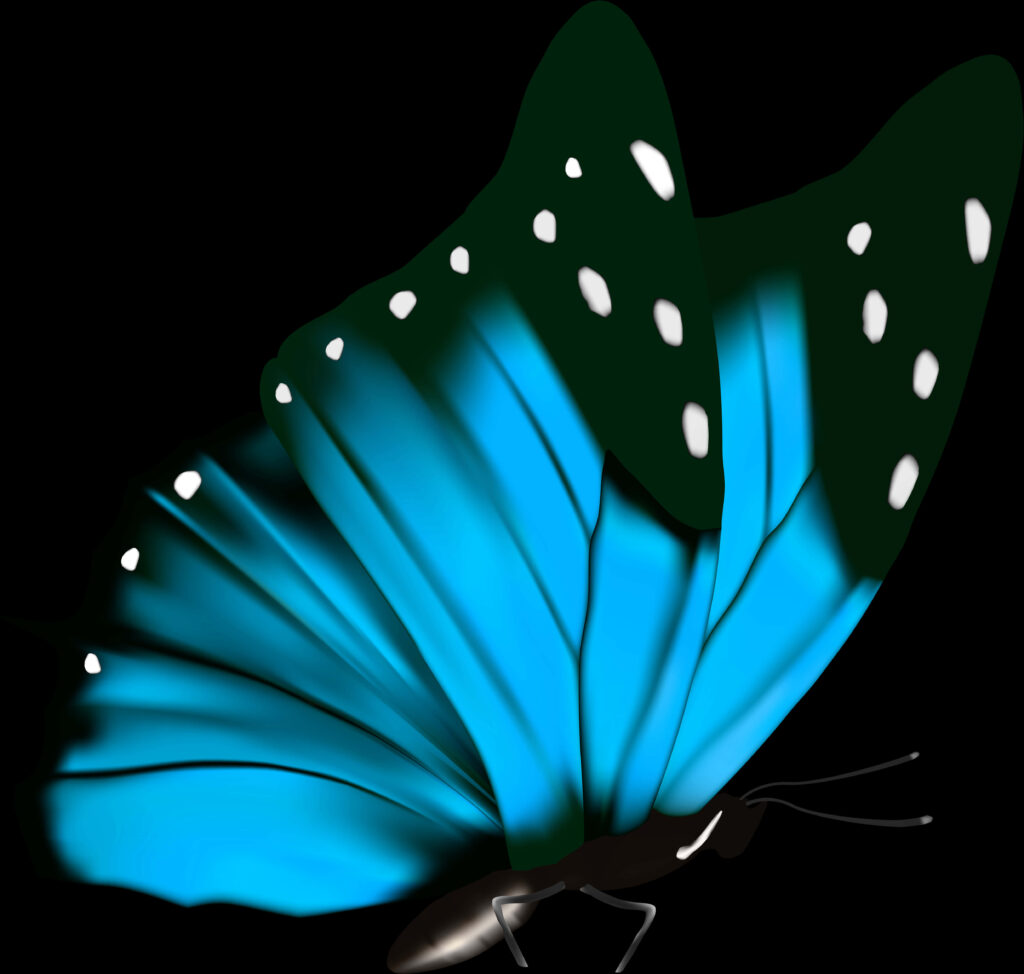 Vibrant Blue Butterfly Wallpaper on Black Background - Intricate Design