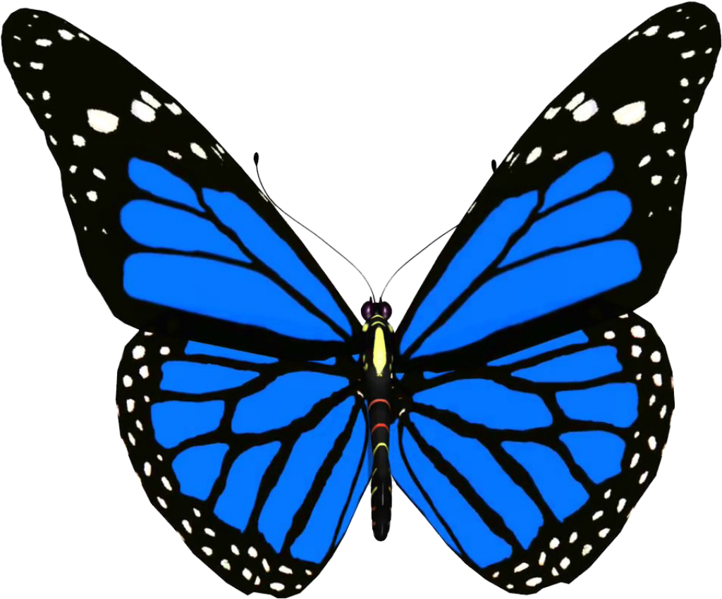 Vibrant Blue Butterfly Wallpaper: Intricate Black & White Design