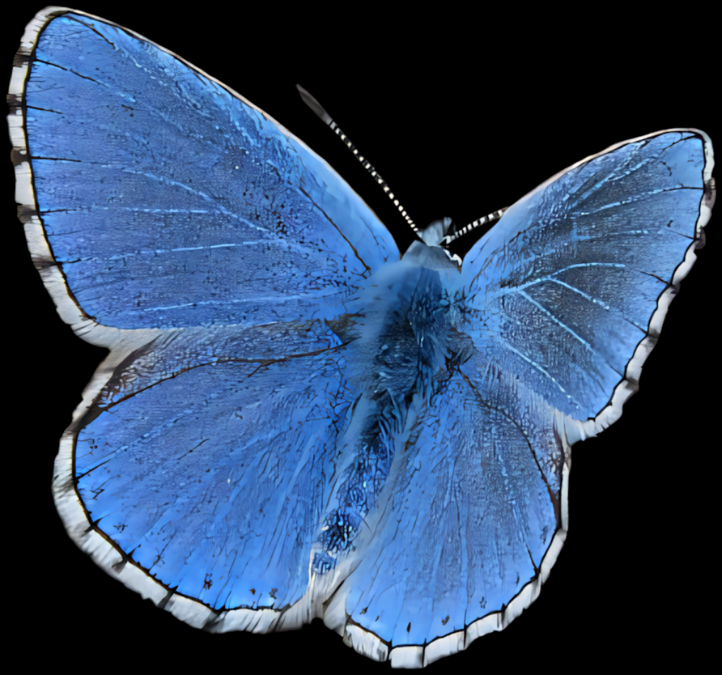 Vibrant Blue Butterfly Wallpaper - Intricate Design on Transparent BG