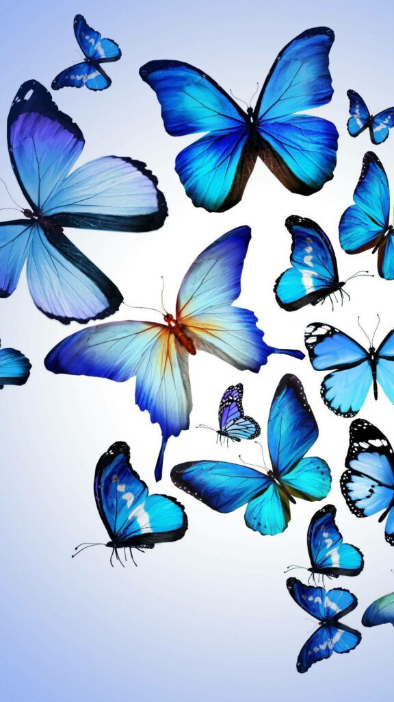 Serene Blue Butterfly Aesthetic iPhone Wallpaper Background