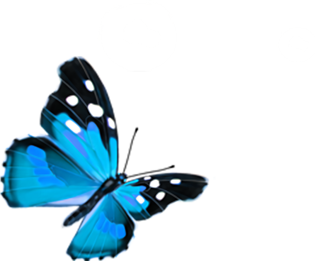 Vibrant Blue Butterfly with White Spots - Ideal for Wallpaper Backgrounds