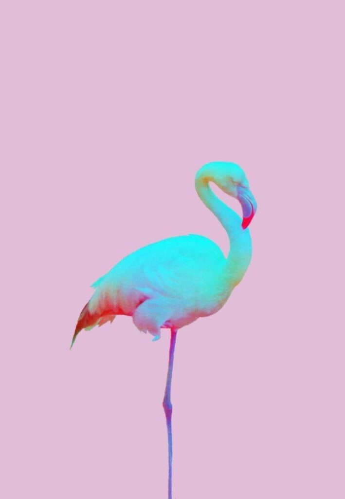 Elegant Blue Flamingo Wallpaper: Vibrant Minimalist Design